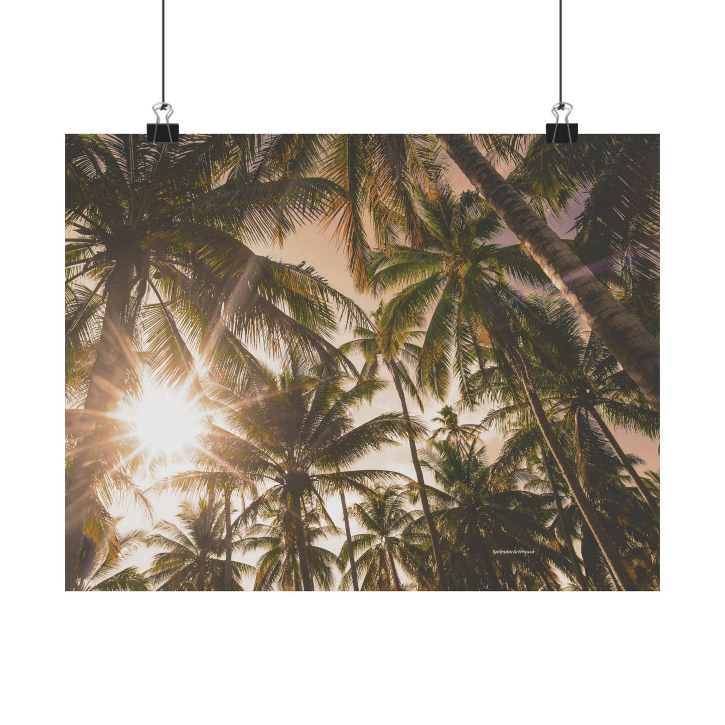 Palm Trees, Matte Horizontal Poster