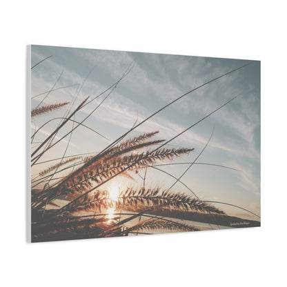 Grass, Matte Canvas, Stretched, 1.25"