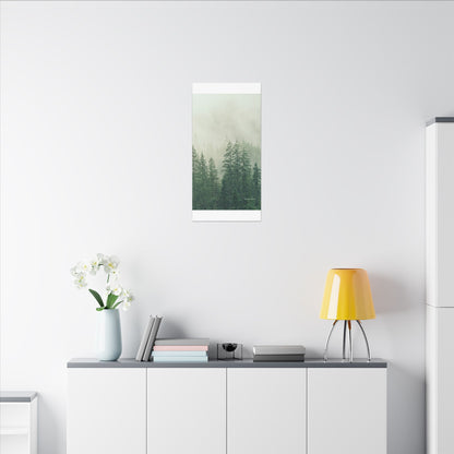 Forest Trees, Matte Canvas, Stretched, 0.75"