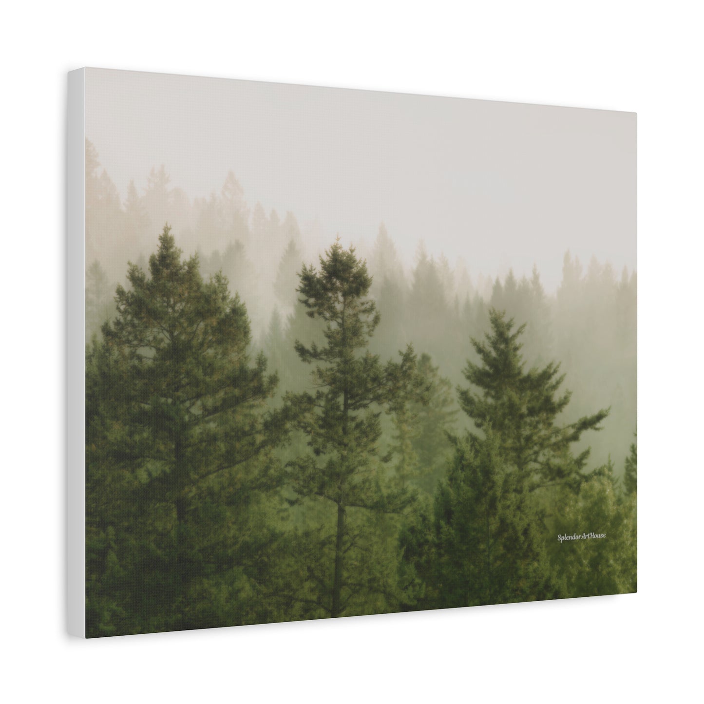 Forest, Matte Canvas, Stretched, 1.25"