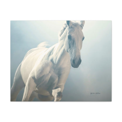 Horse, Matte Canvas, Stretched, 1.25"