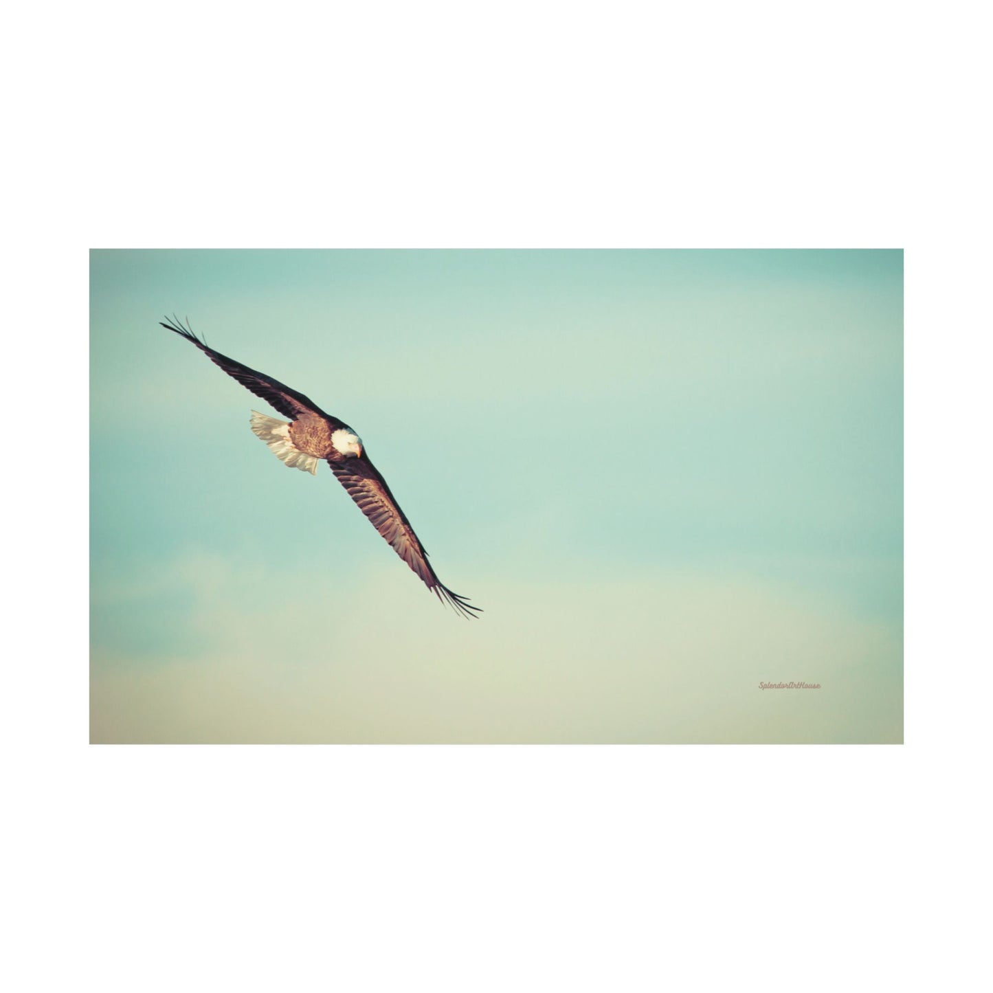 Bird, Matte Horizontal Poster