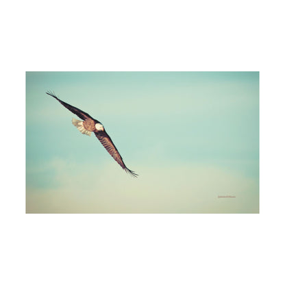 Bird, Matte Horizontal Poster