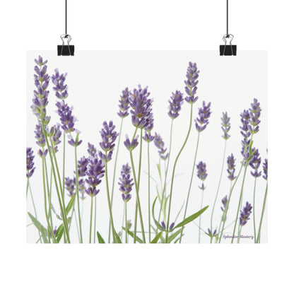 Floral, Matte Poster