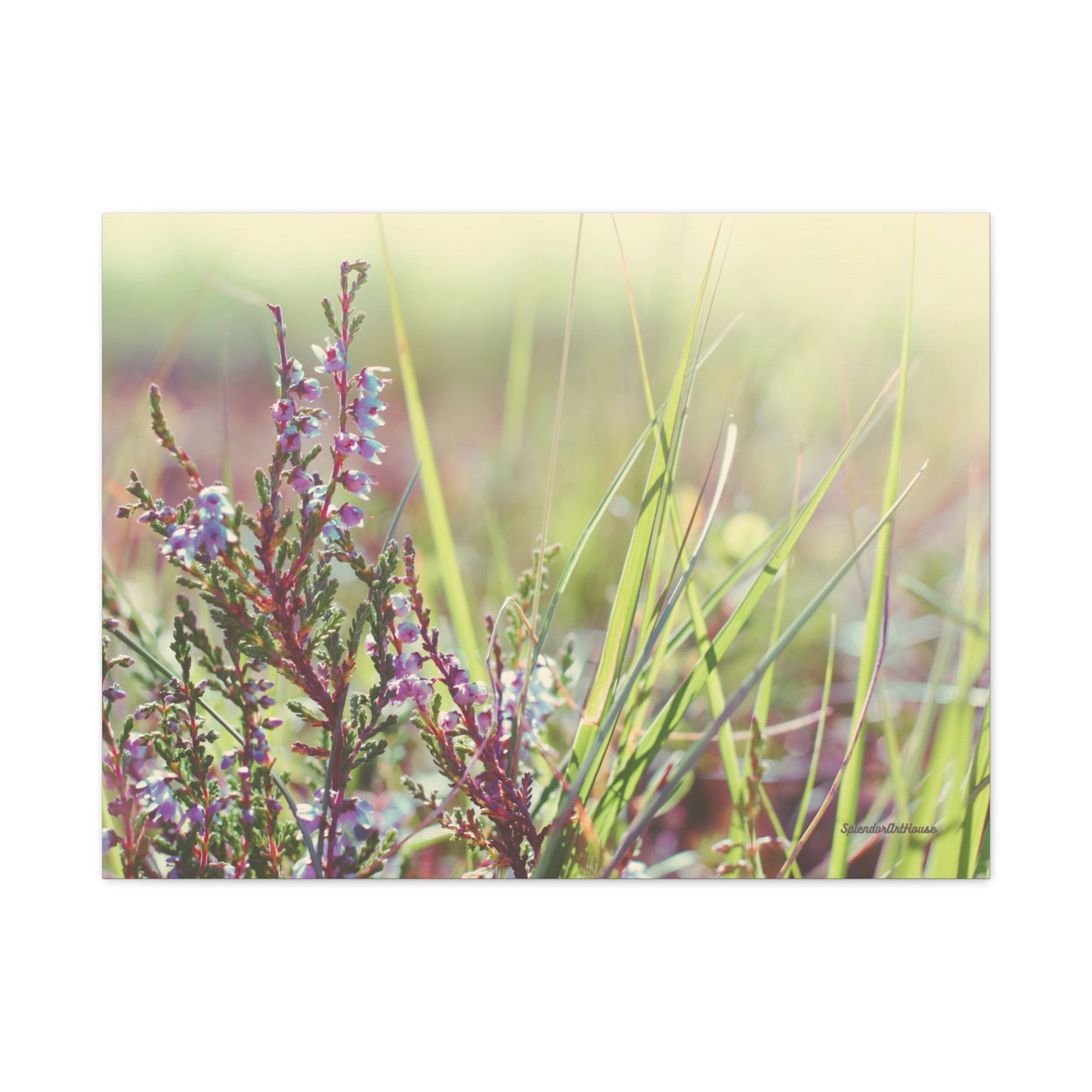 Floral, Matte Canvas, Stretched, 1.25"