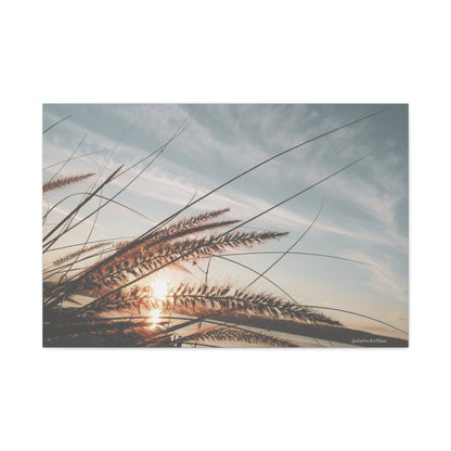 Grass, Matte Canvas, Stretched, 1.25"