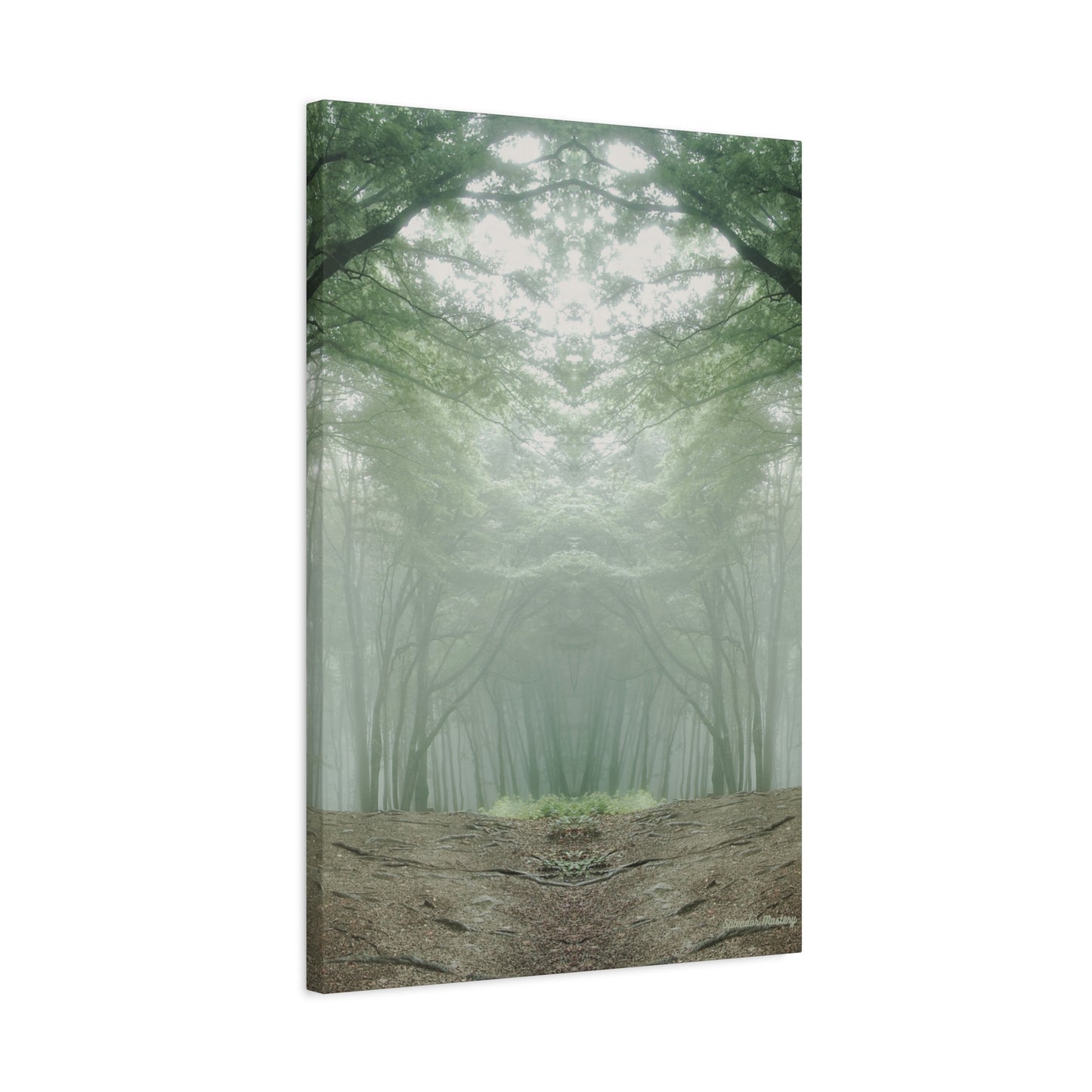 Forest, Matte Canvas, Stretched, 1.25"