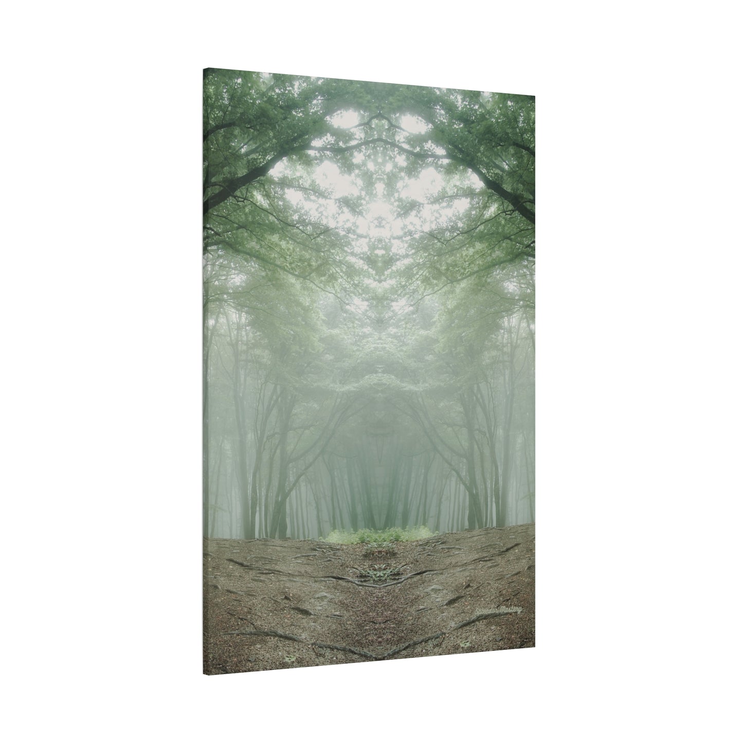 Forest, Matte Canvas, Stretched, 1.25"
