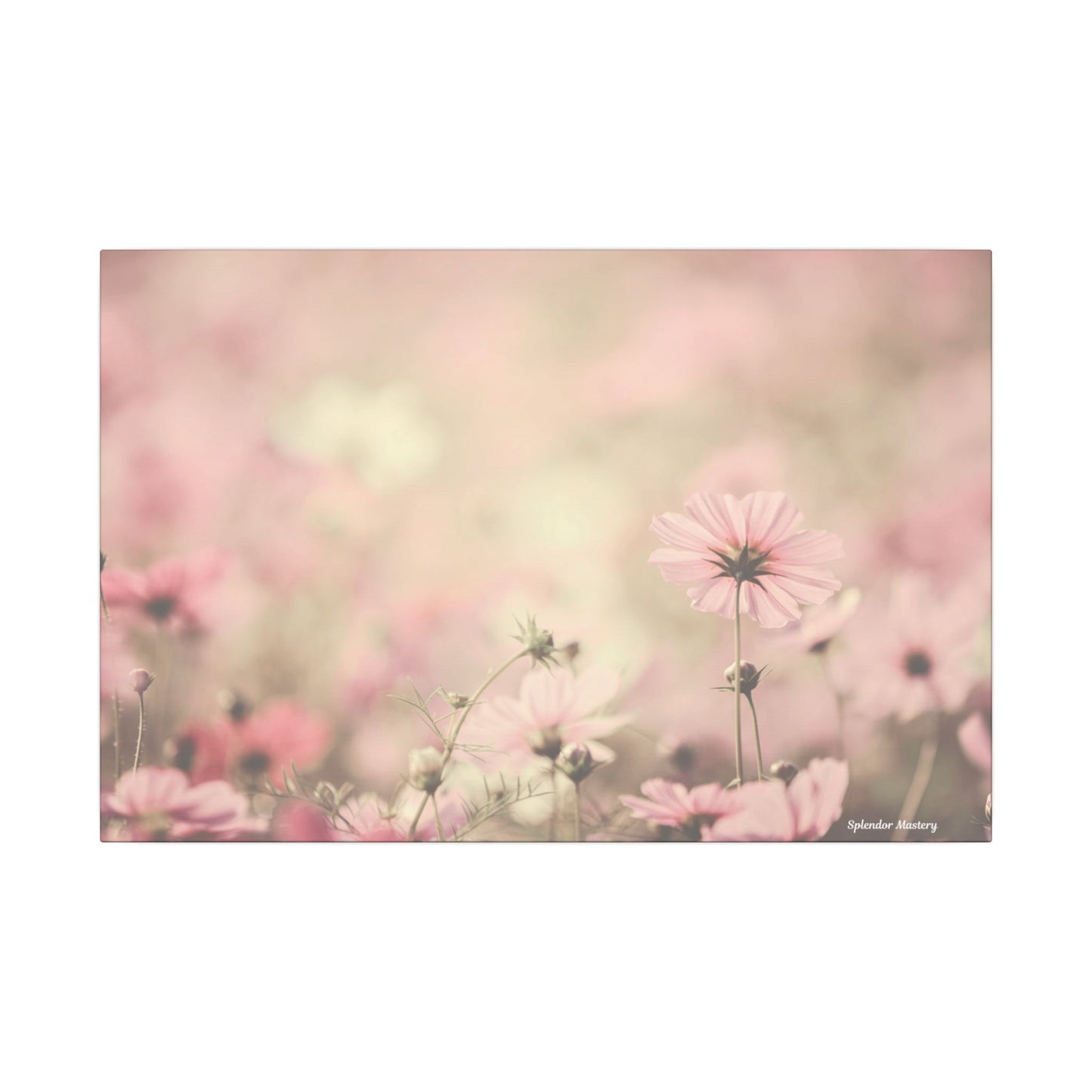 Floral, Matte Canvas, Stretched, 0.75"