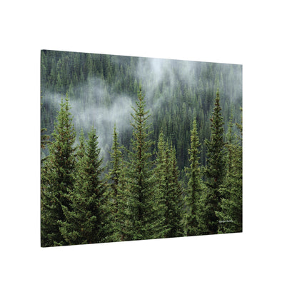 Trees, Matte Canvas, Stretched, 0.75"