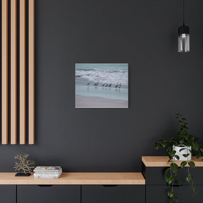 Birds, Matte Canvas, Stretched, 1.25"