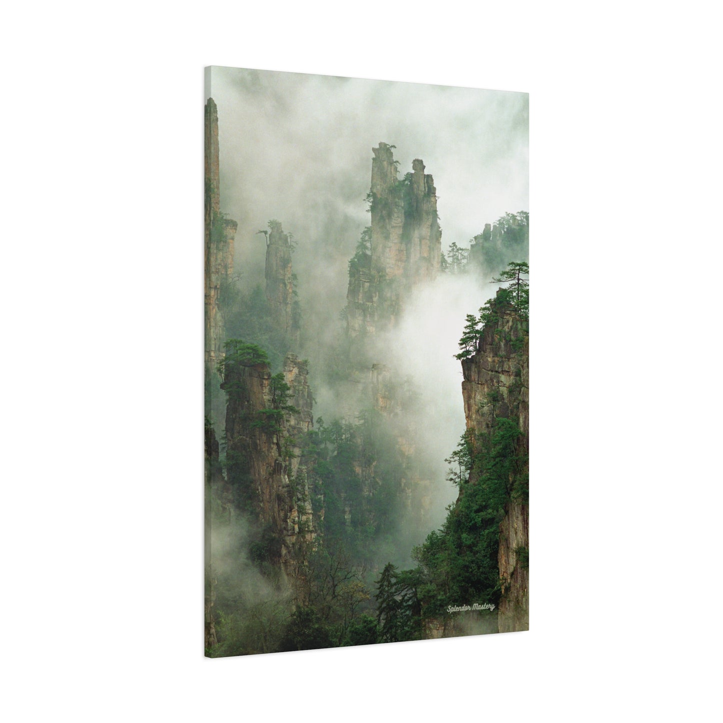 Forest, Matte Canvas, Stretched, 1.25"