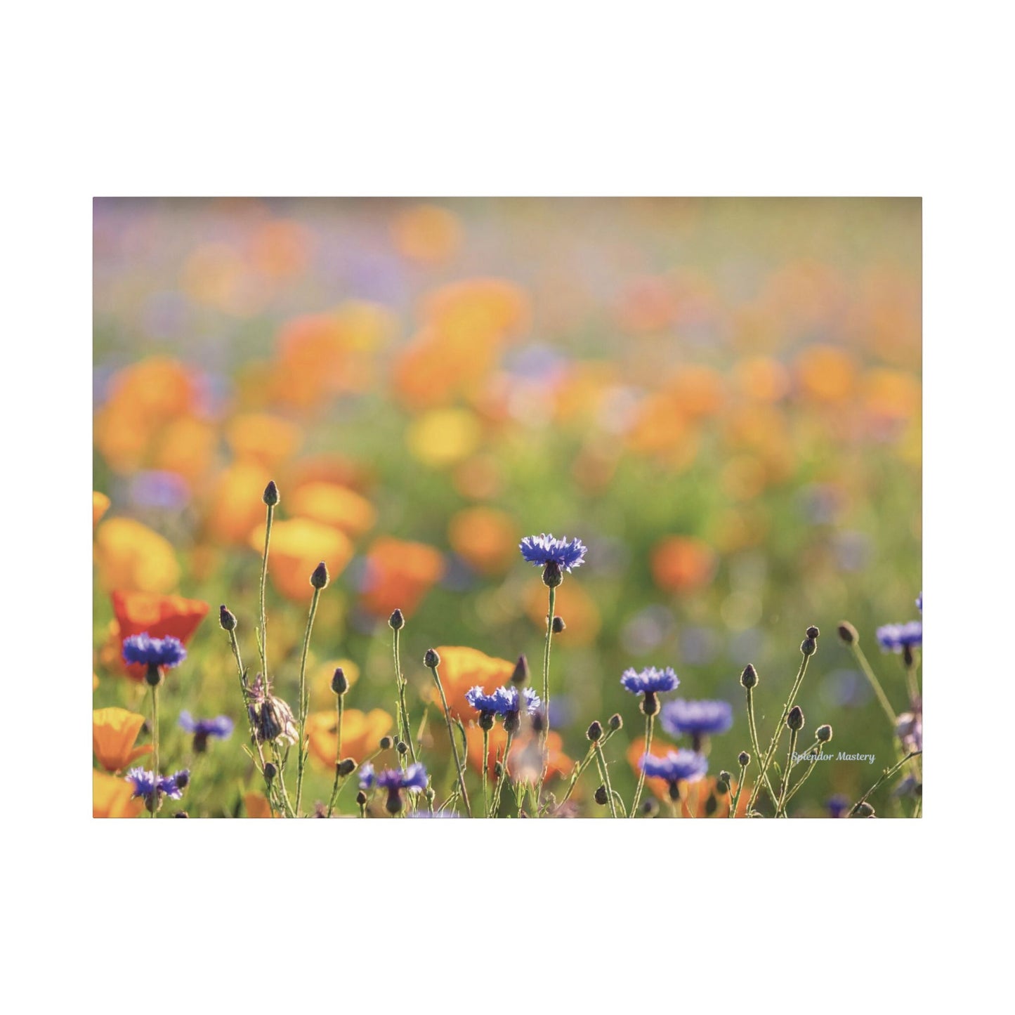 Floral, Matte Canvas, Stretched, 0.75"