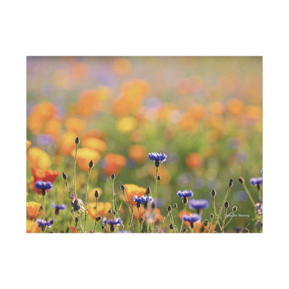 Floral, Matte Canvas, Stretched, 0.75"