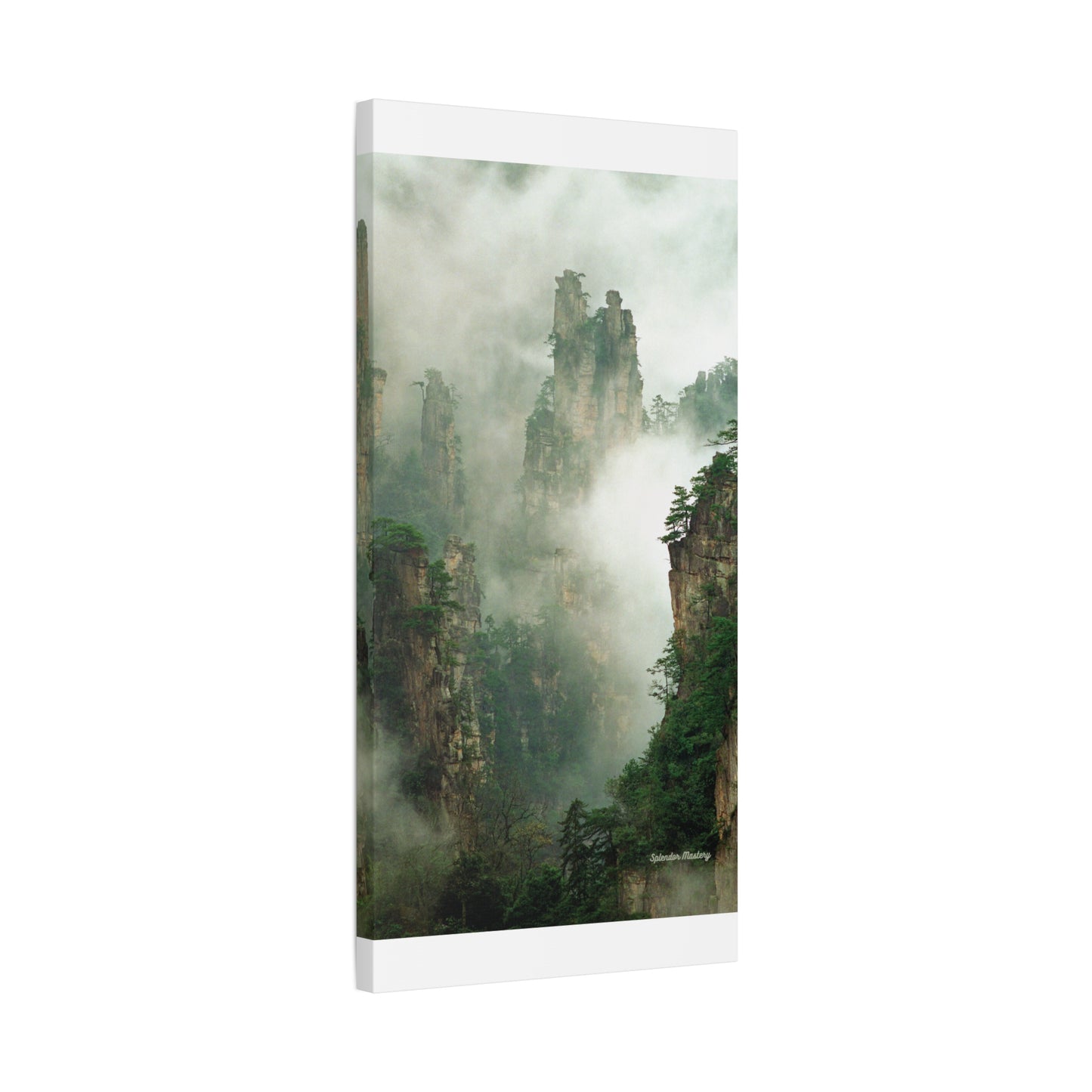 Forest, Matte Canvas, Stretched, 1.25"