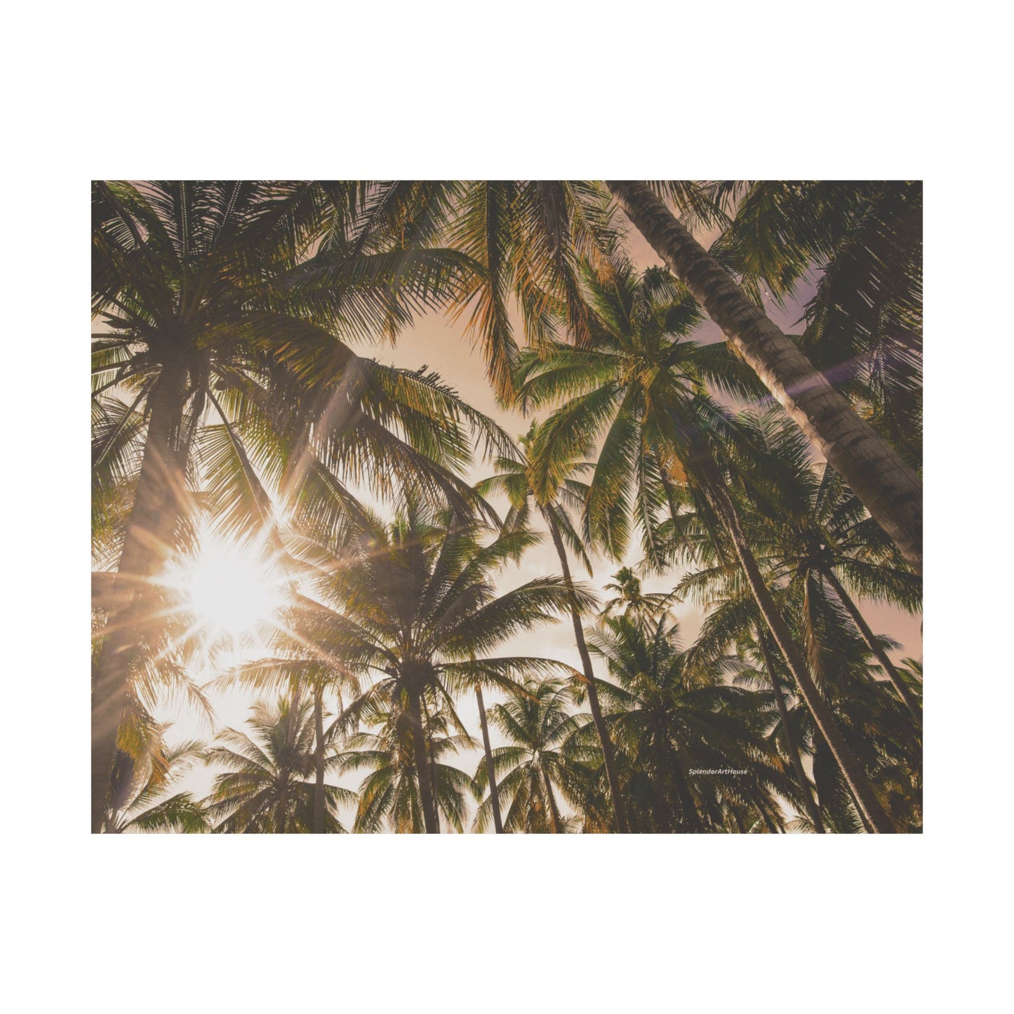 Palm Trees, Matte Horizontal Poster