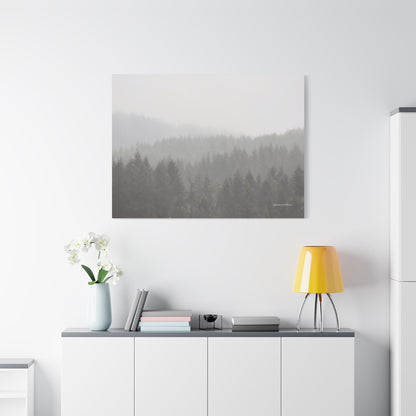 Forest, Matte Canvas, Stretched, 1.25"
