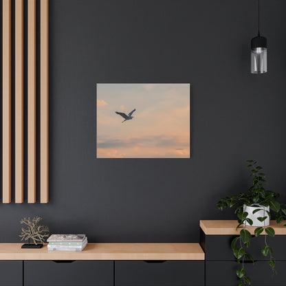 Bird, Matte Canvas, Stretched, 1.25"