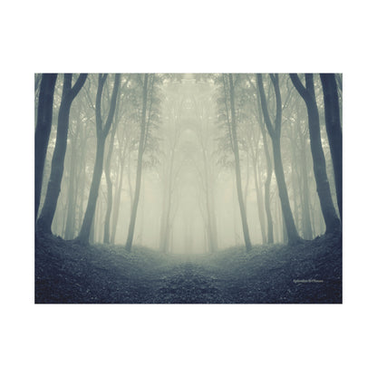 Forest, Matte Canvas, Stretched, 1.25"