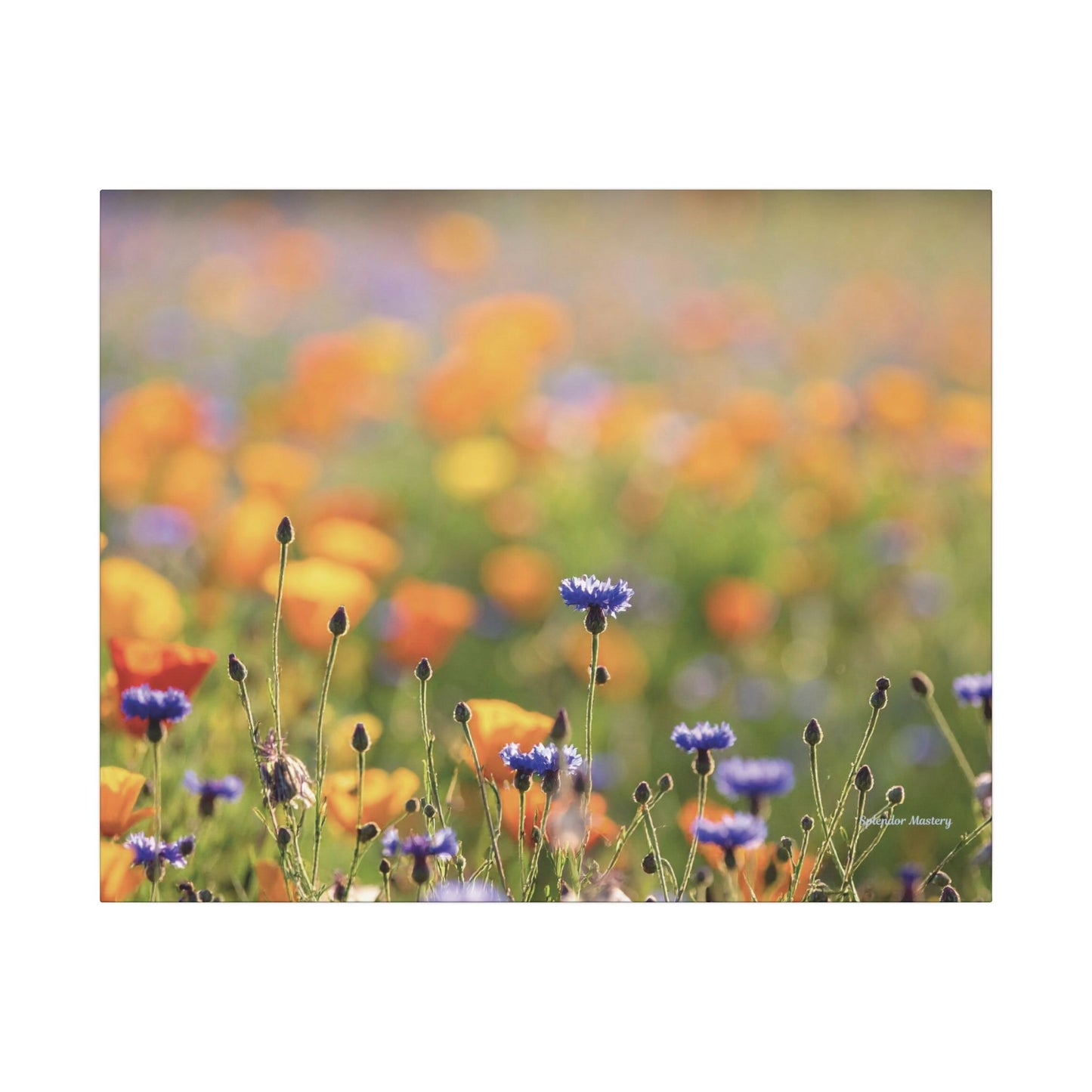 Floral, Matte Canvas, Stretched, 0.75"