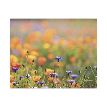 Floral, Matte Canvas, Stretched, 0.75"