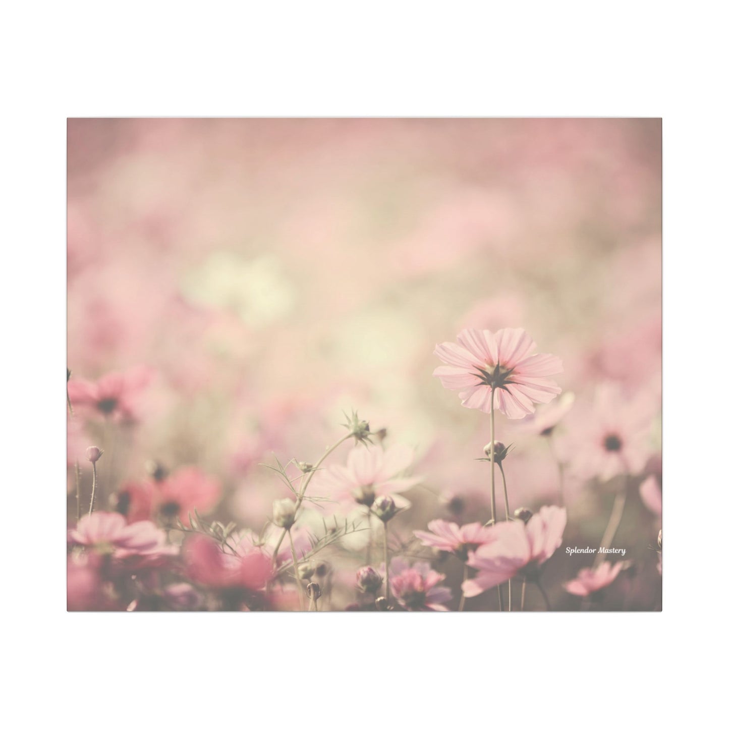 Floral, Matte Canvas, Stretched, 0.75"