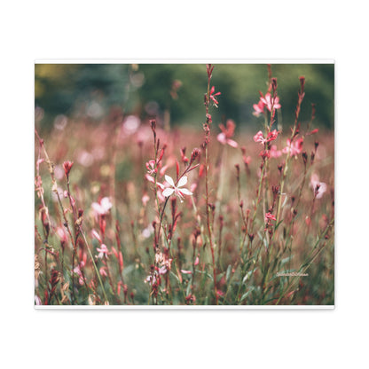 Floral, Matte Canvas, Stretched, 1.25"