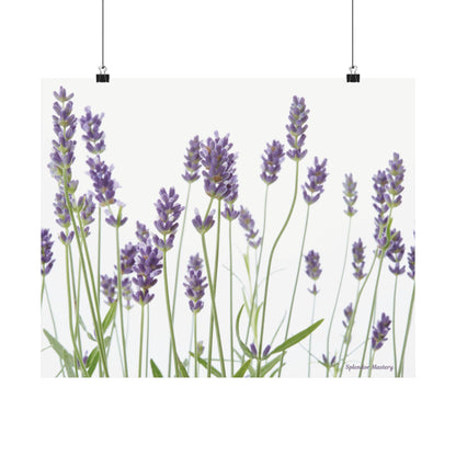 Floral, Matte Poster