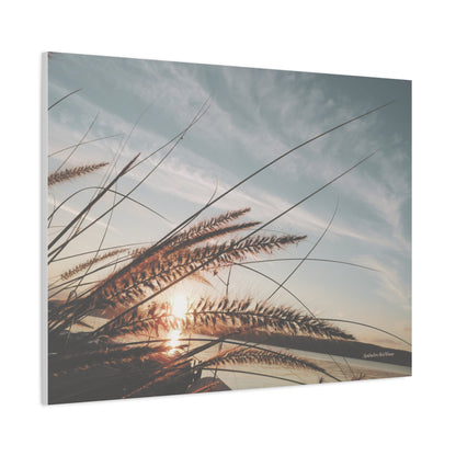 Grass, Matte Canvas, Stretched, 1.25"