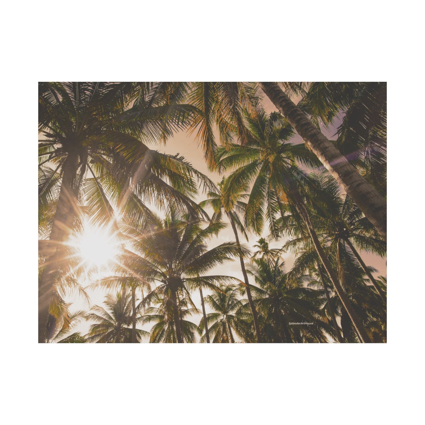Palm Trees, Matte Horizontal Poster
