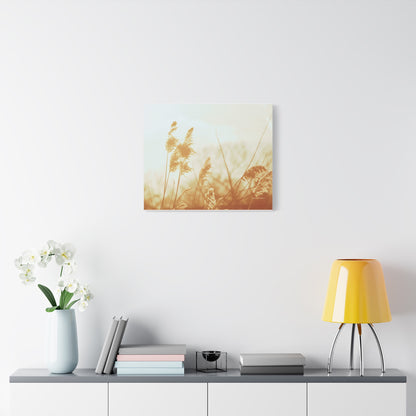 Grass, Matte Canvas, Stretched, 1.25"