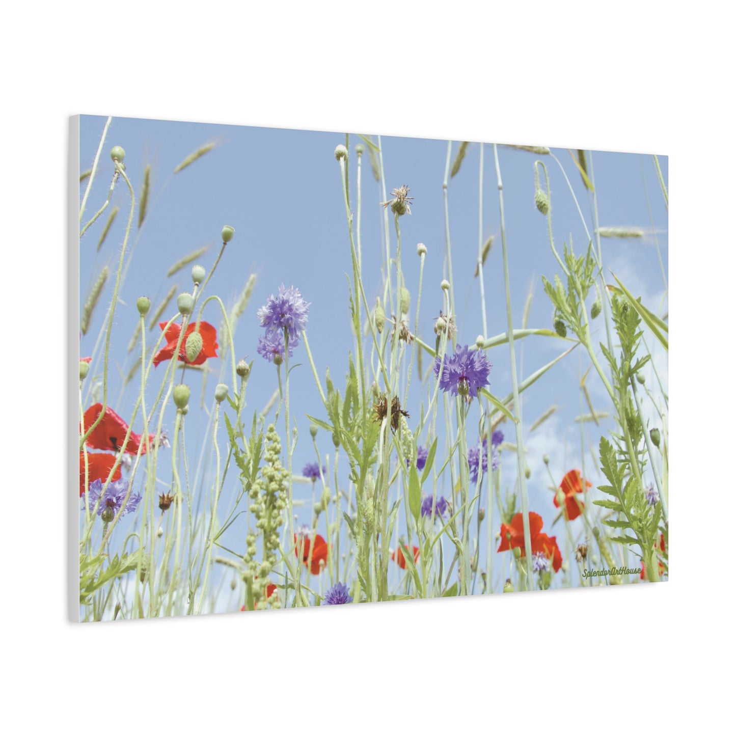 Floral, Matte Canvas, Stretched, 1.25"