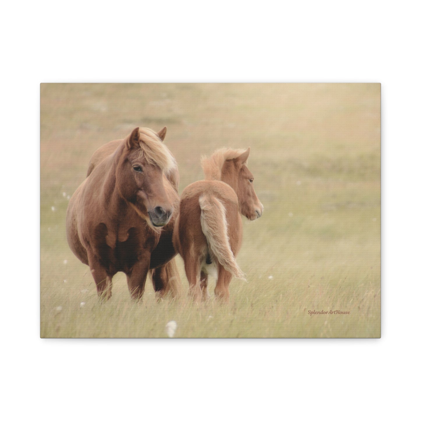 Wild Horses, Matte Canvas, Stretched, 1.25"