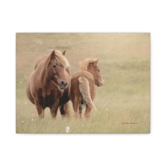 Wild Horses, Matte Canvas, Stretched, 1.25"