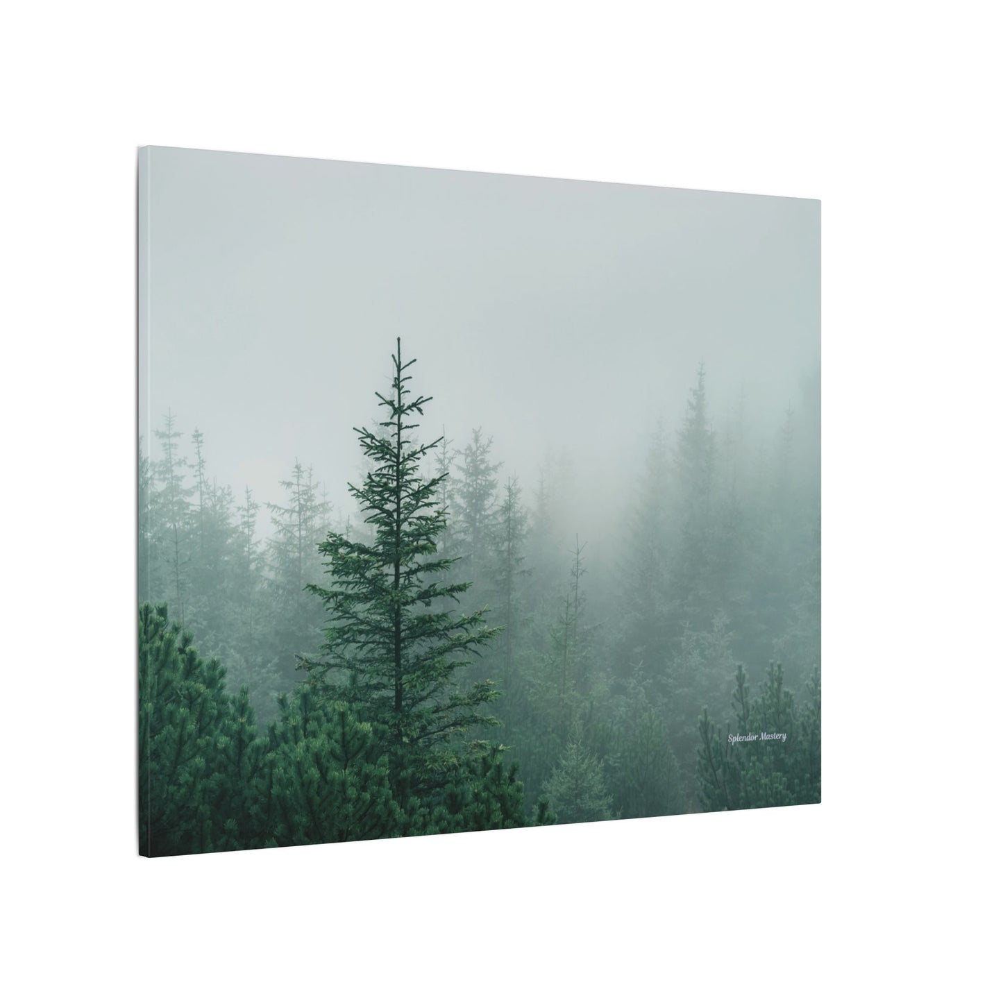 Forest Trees, Matte Canvas, Stretched, 0.75"
