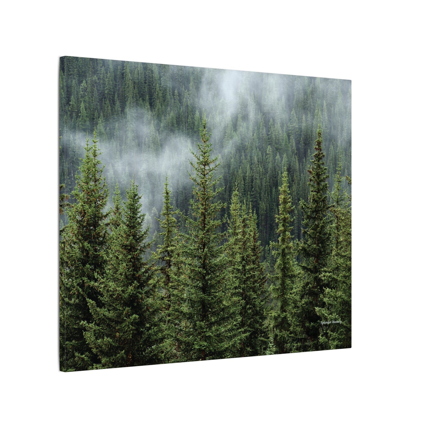 Trees, Matte Canvas, Stretched, 0.75"