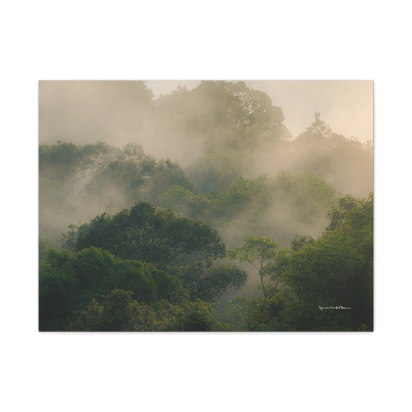 Forest, Matte Canvas, Stretched, 1.25"