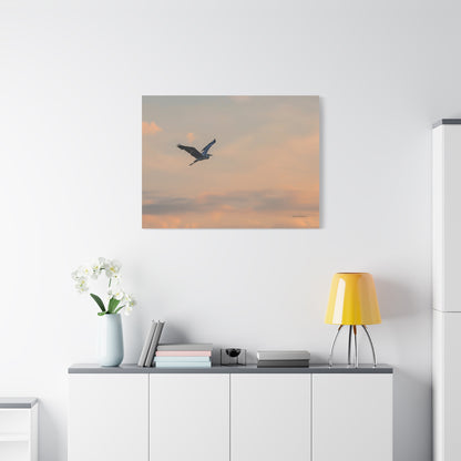 Bird, Matte Canvas, Stretched, 1.25"