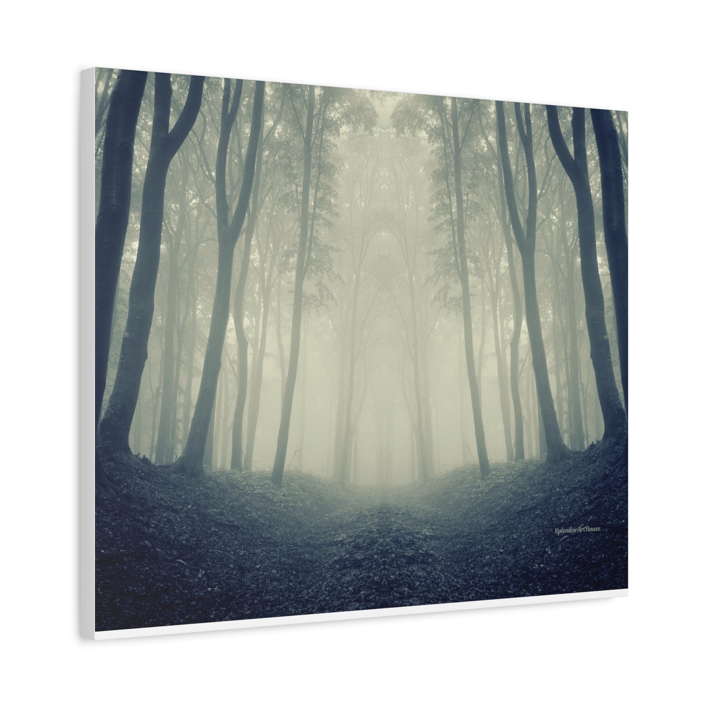 Forest, Matte Canvas, Stretched, 1.25"