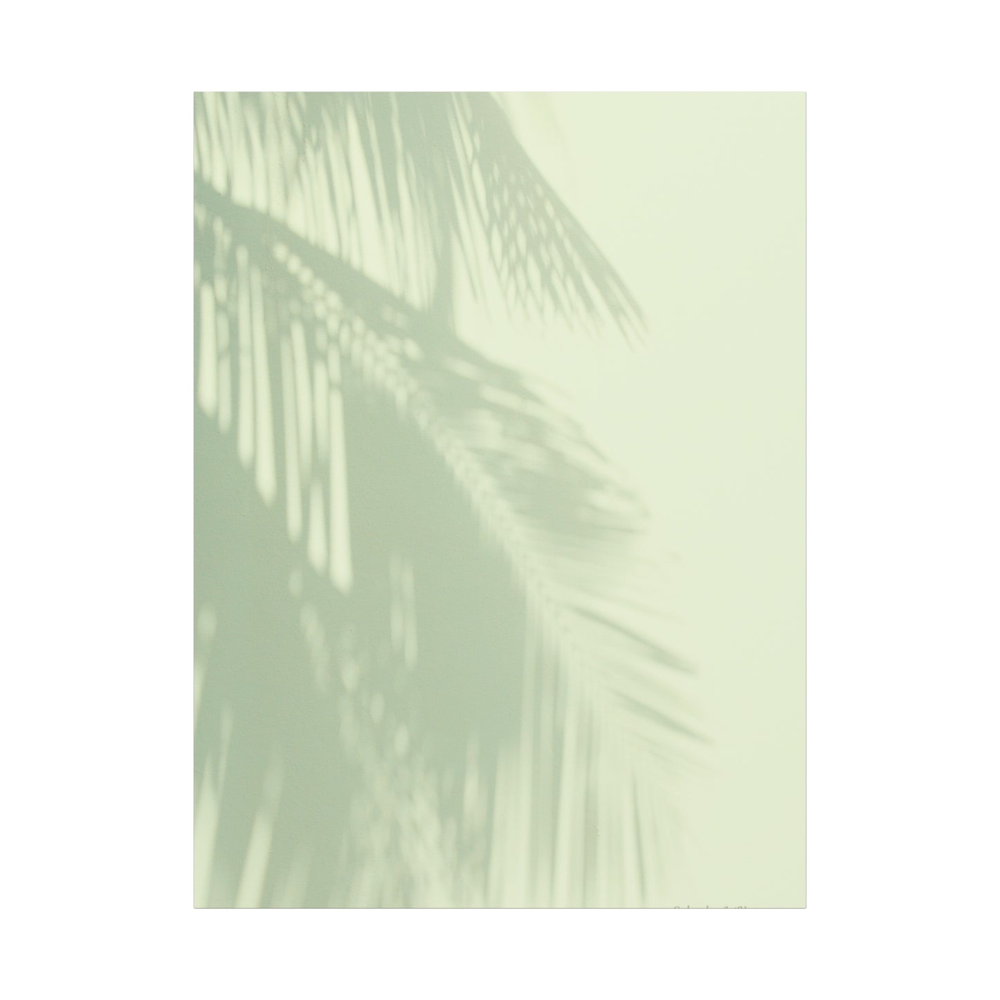 Palm Tree, Matte Canvas, Stretched, 1.25"