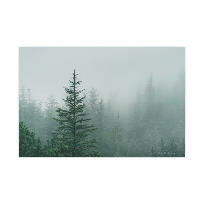 Forest Trees, Matte Canvas, Stretched, 0.75"
