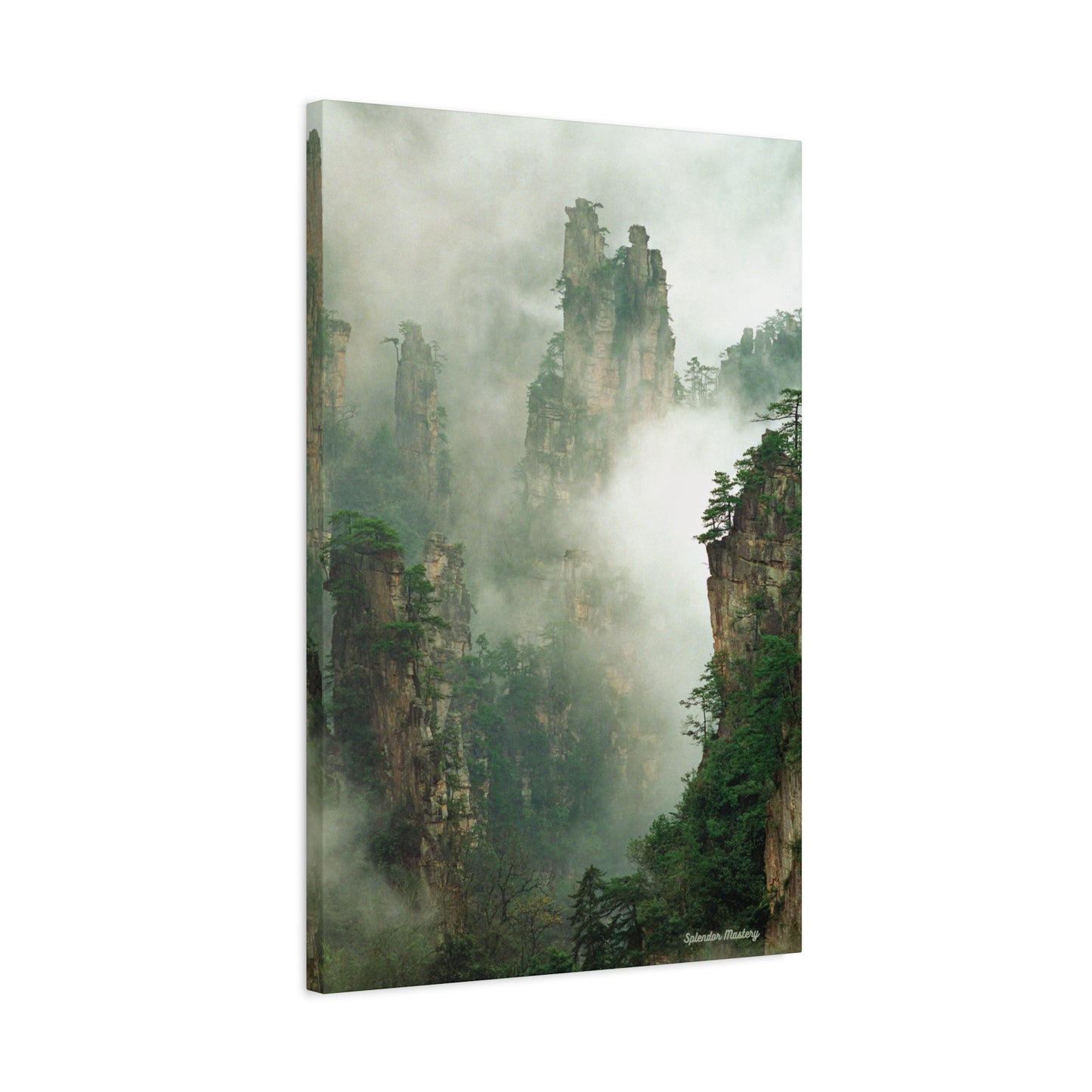 Forest, Matte Canvas, Stretched, 1.25"