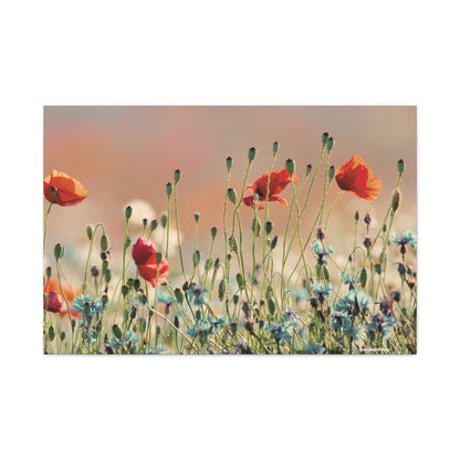 Floral, Matte Canvas, Stretched, 1.25"