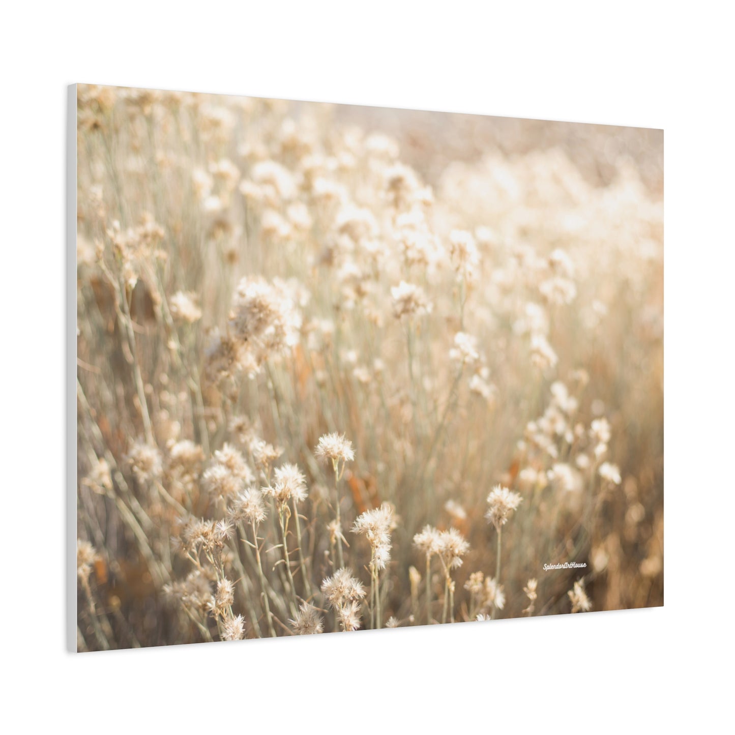 Floral, Matte Canvas, Stretched, 1.25"