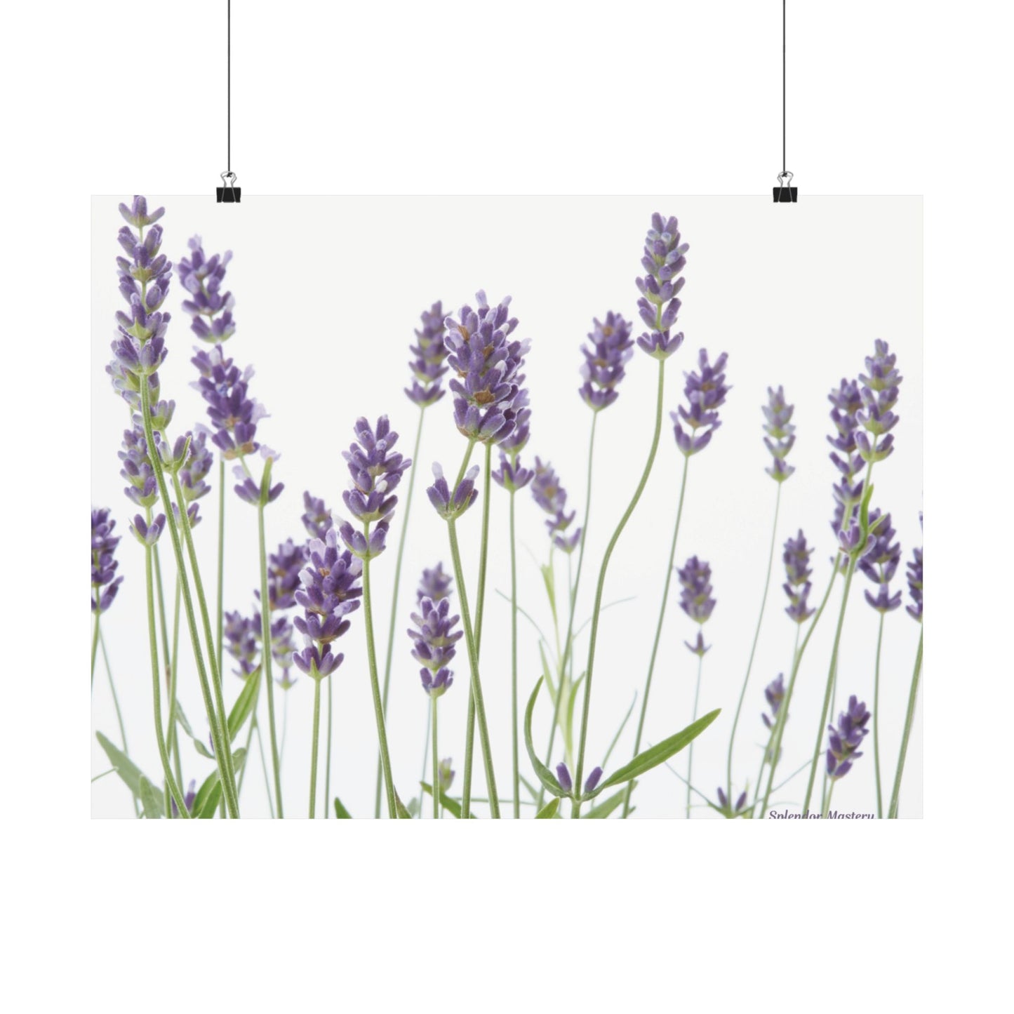 Floral, Matte Poster