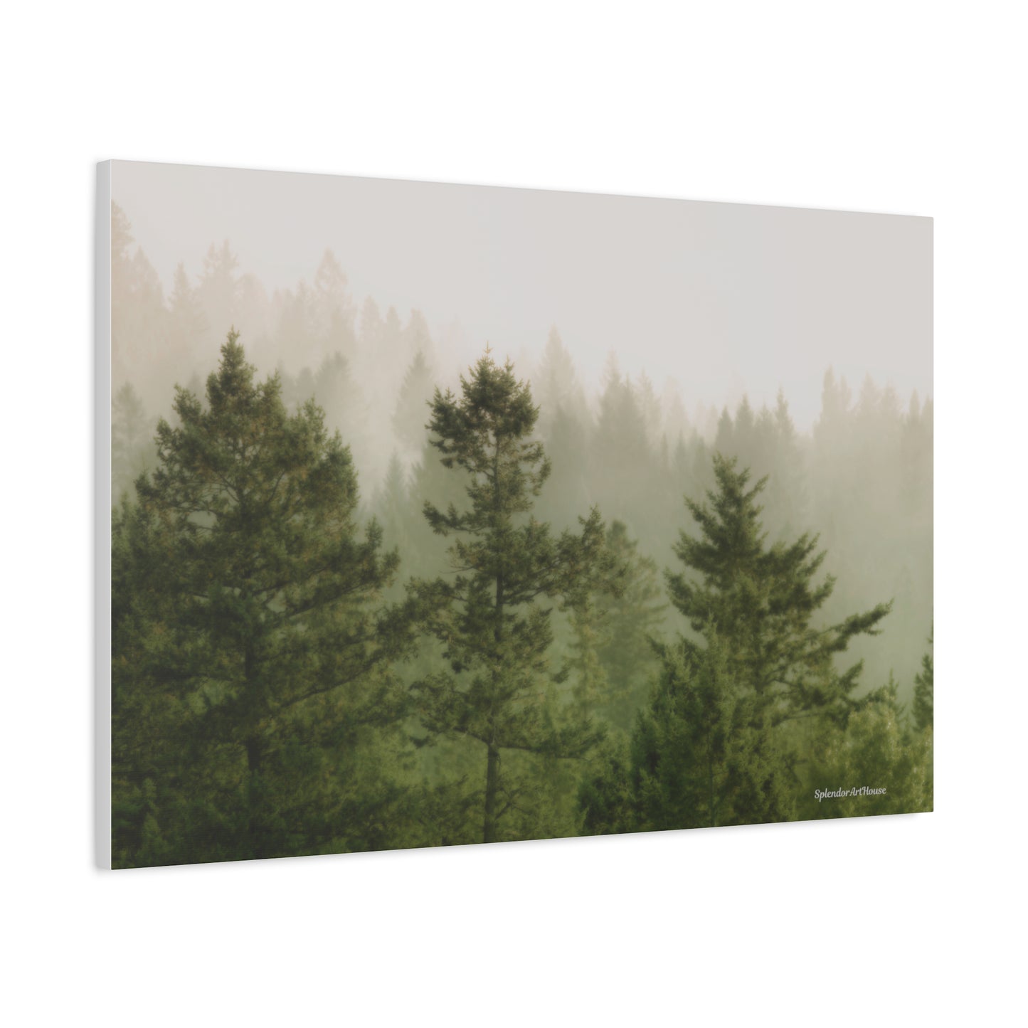 Forest, Matte Canvas, Stretched, 1.25"