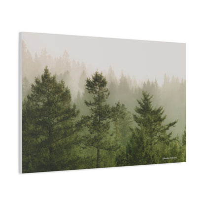 Forest, Matte Canvas, Stretched, 1.25"