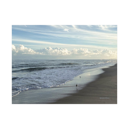 Ocean, Matte Canvas, Stretched, 1.25"