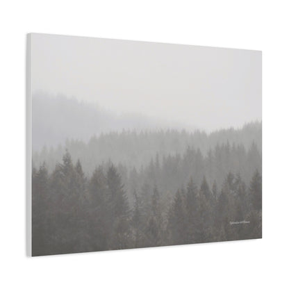 Forest, Matte Canvas, Stretched, 1.25"