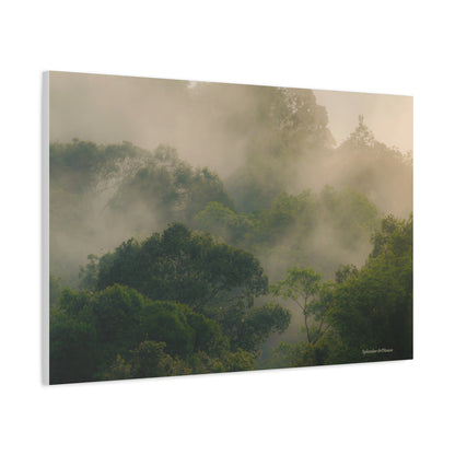 Forest, Matte Canvas, Stretched, 1.25"